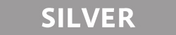 Go to SILVER Analysis