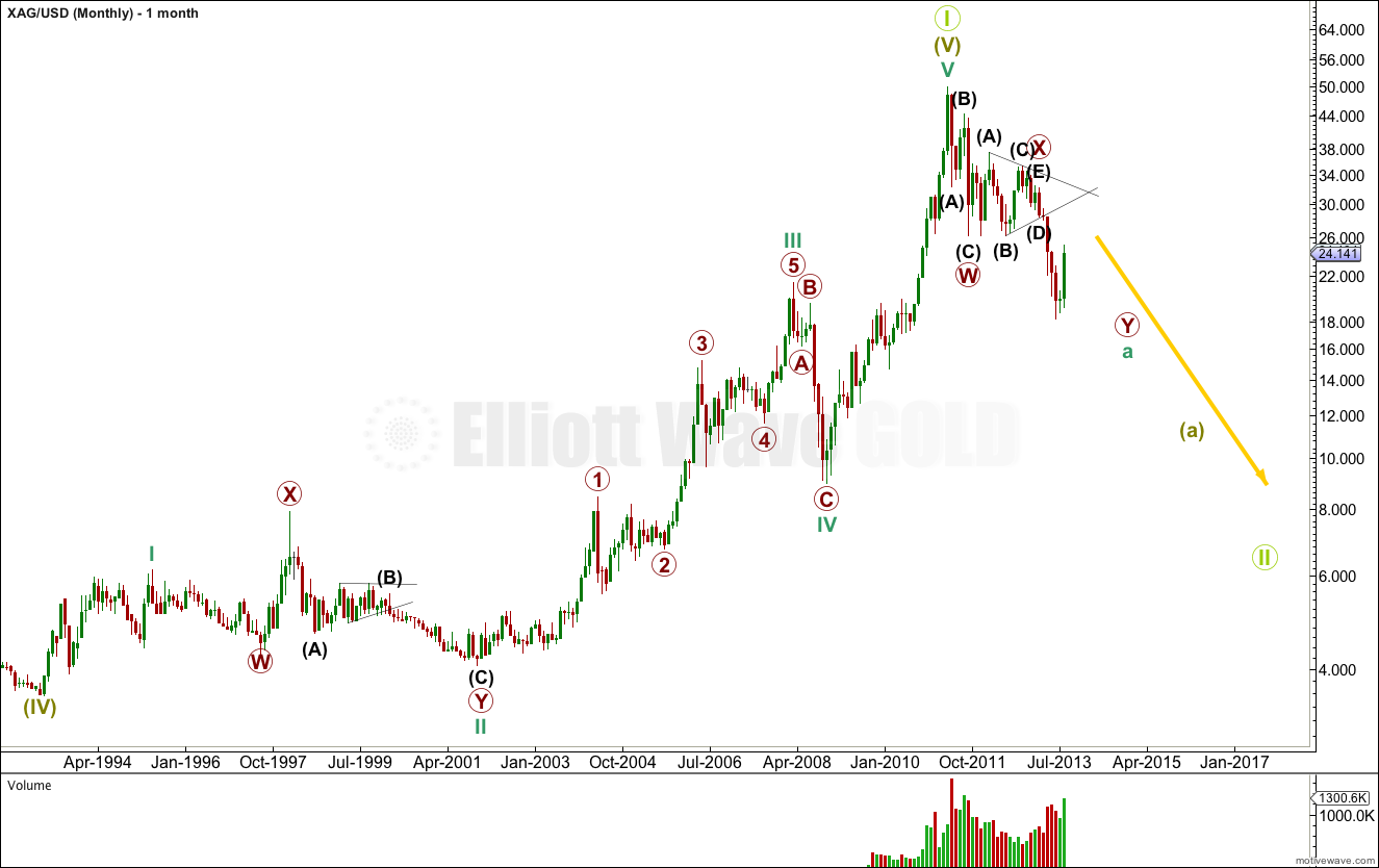 Silver monthly 2013