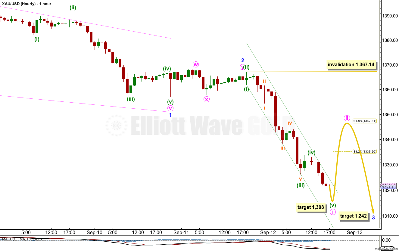 GOLD Elliott Wave Chart Hourly 2013