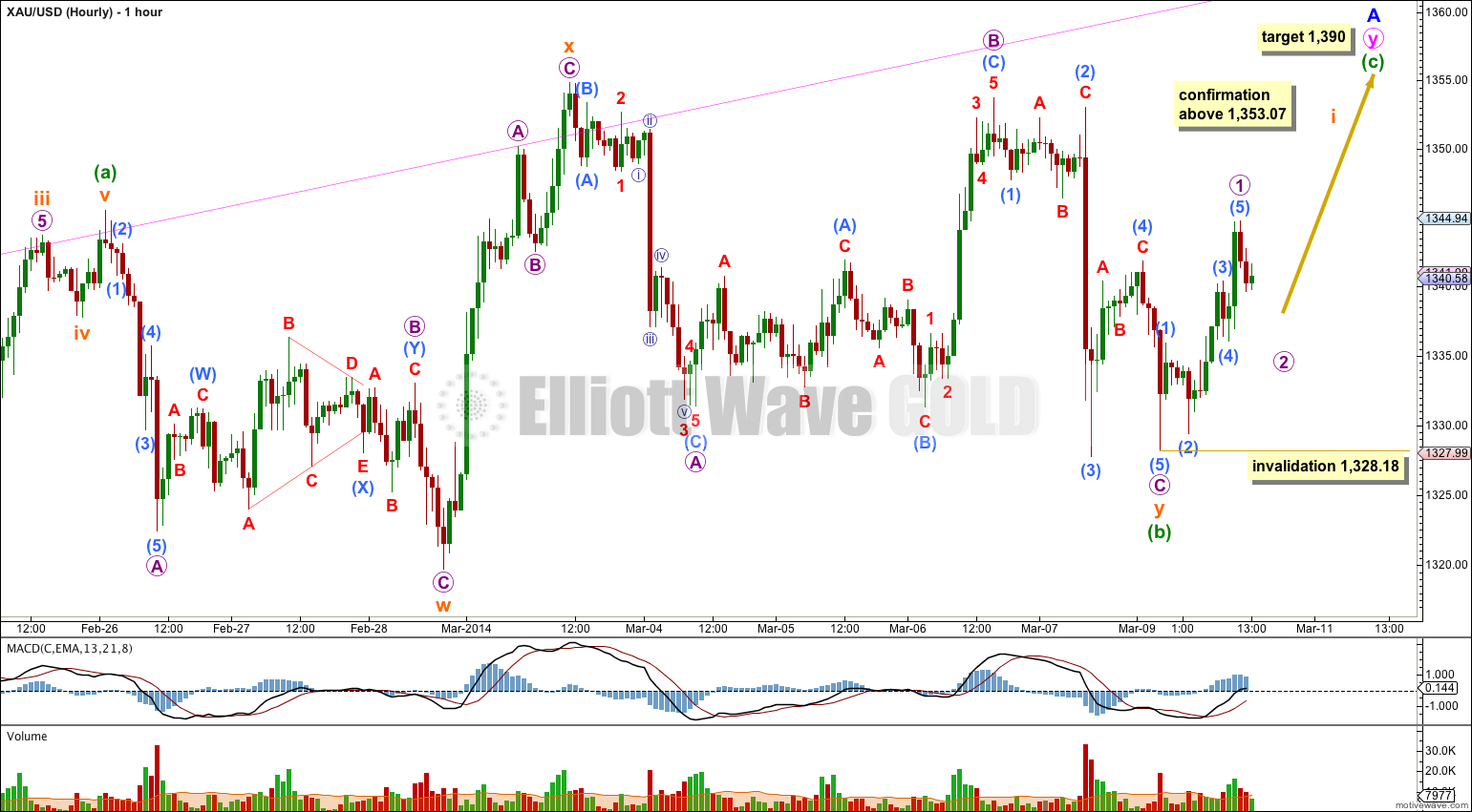 GOLD Elliott Wave Chart Hourly 2013