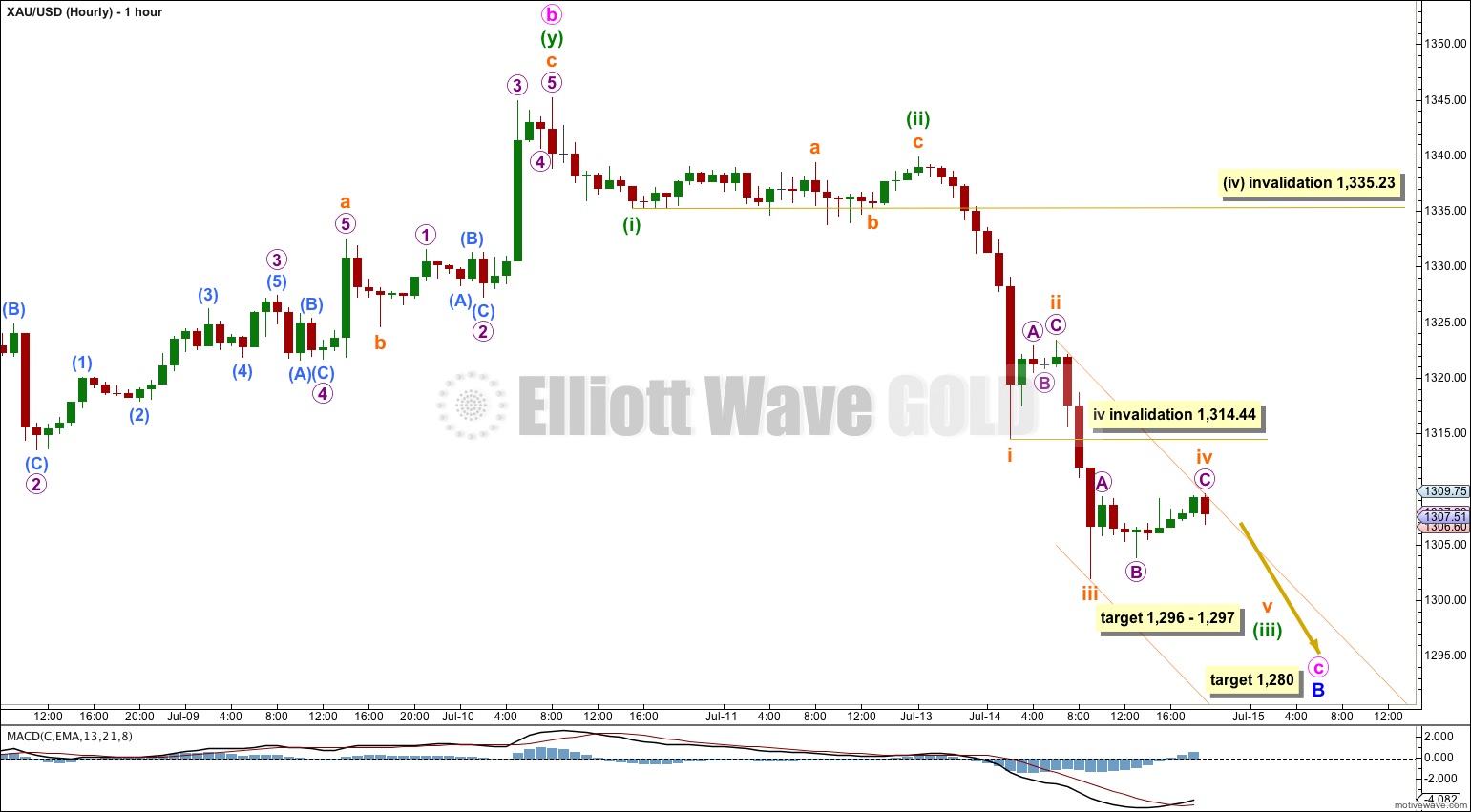 GOLD Elliott Wave Chart Hourly 2014