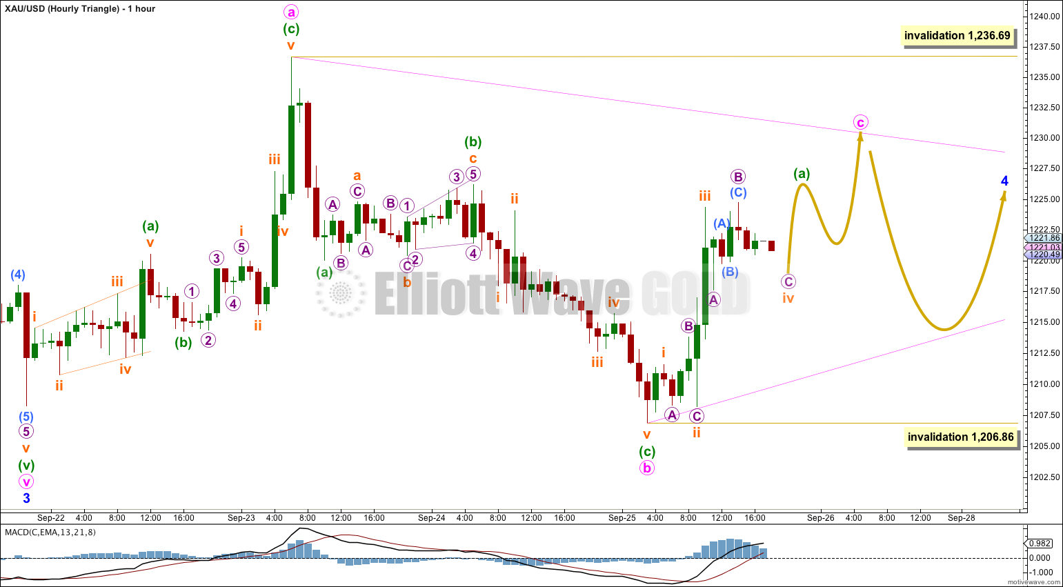 GOLD Elliott Wave Chart Hourly Triangle 2014