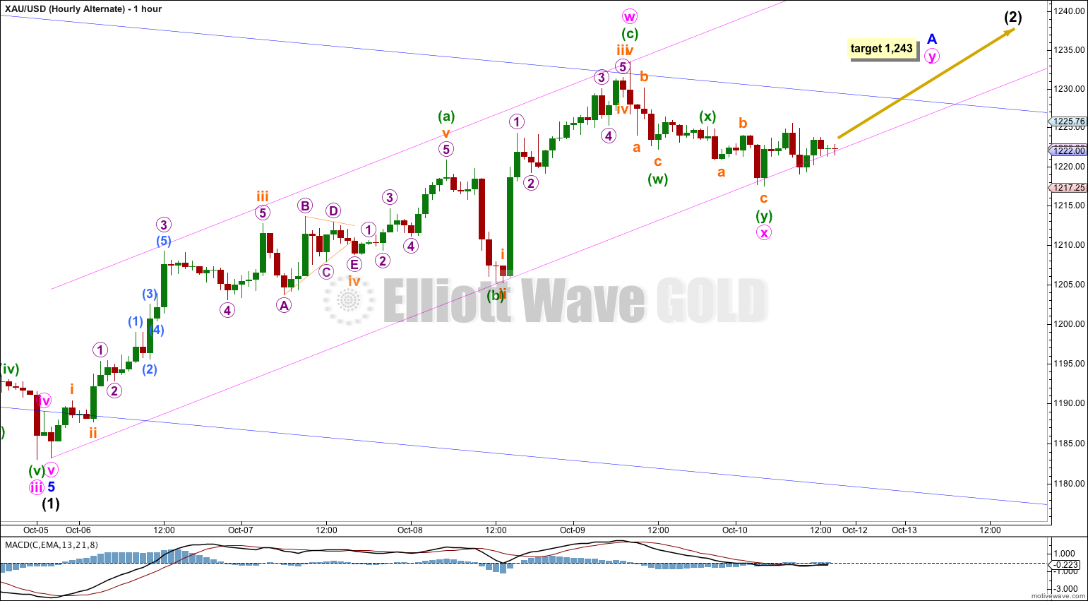 GOLD Elliott Wave Chart Hourly Alternate 2014