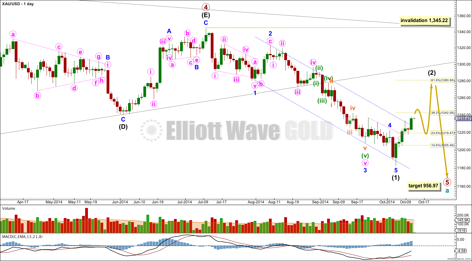 Gold Elliott Wave Chart Daily 2014