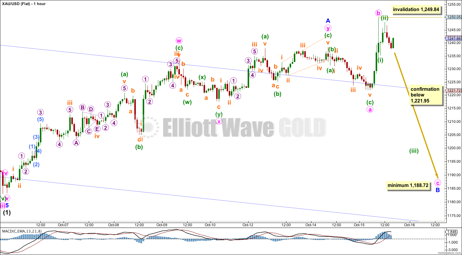 GOLD Elliott Wave Chart Hourly Flat 2014