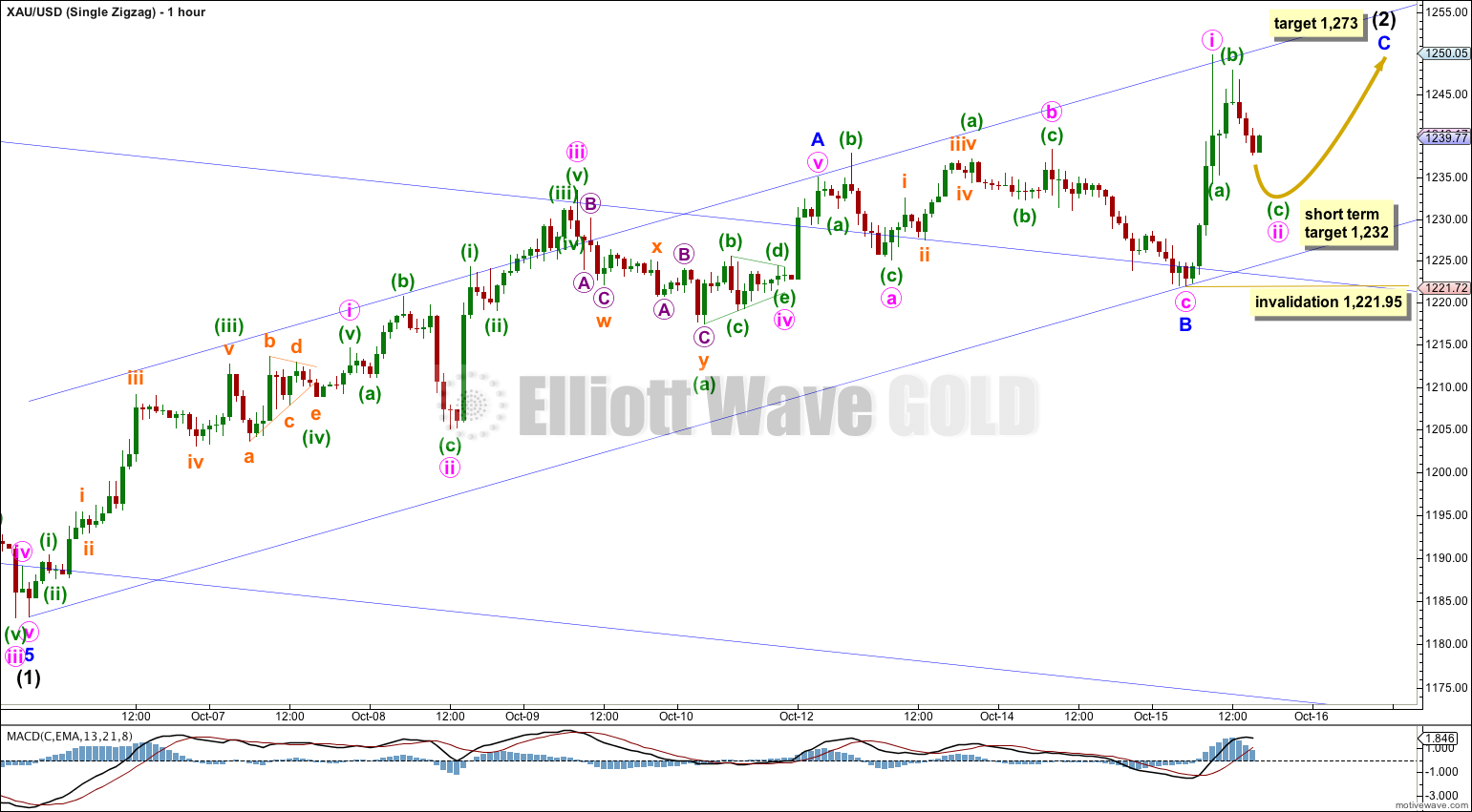 GOLD Elliott Wave Chart Hourly Zigzag 2014