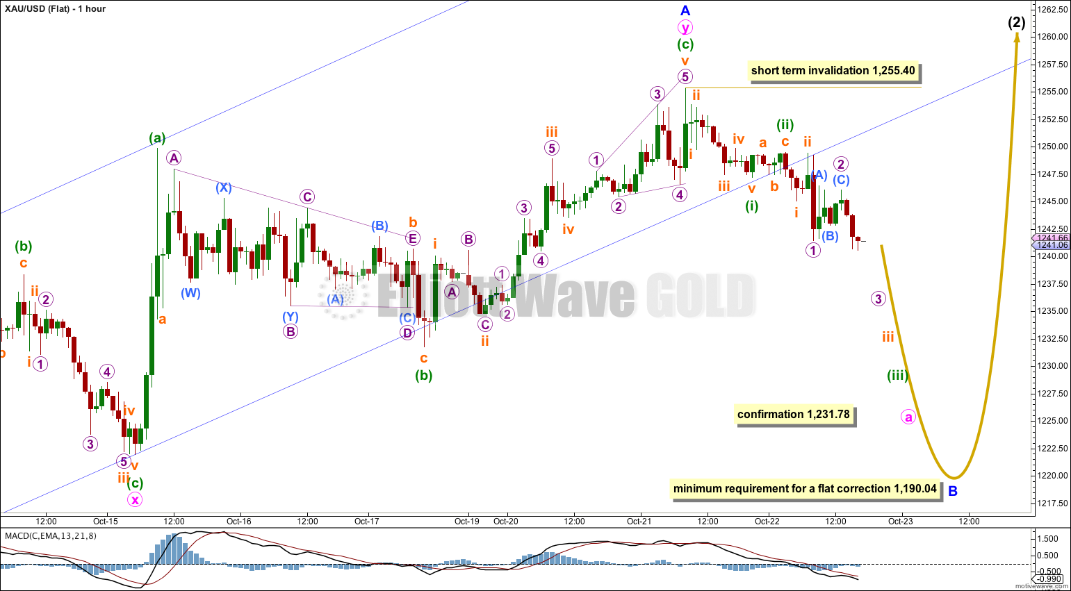 GOLD Elliott Wave Chart Flat 2014