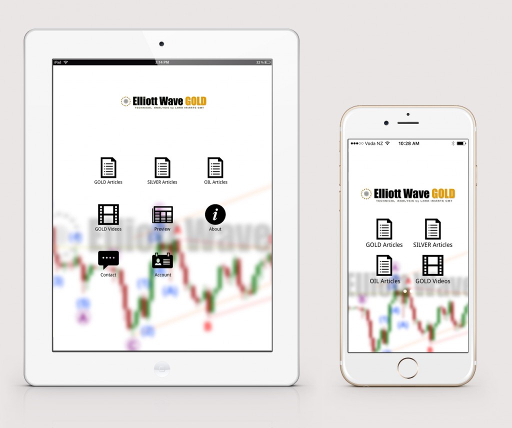 Elliott wave forex lara