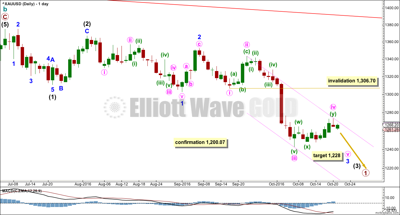 Gold Elliott Wave Chart Daily 2016