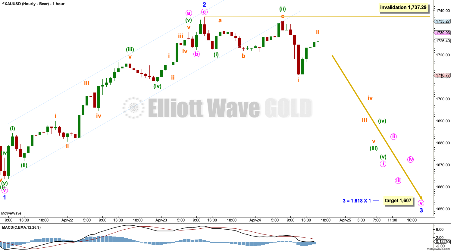 Gold Elliott Wave Chart Hourly 2020
