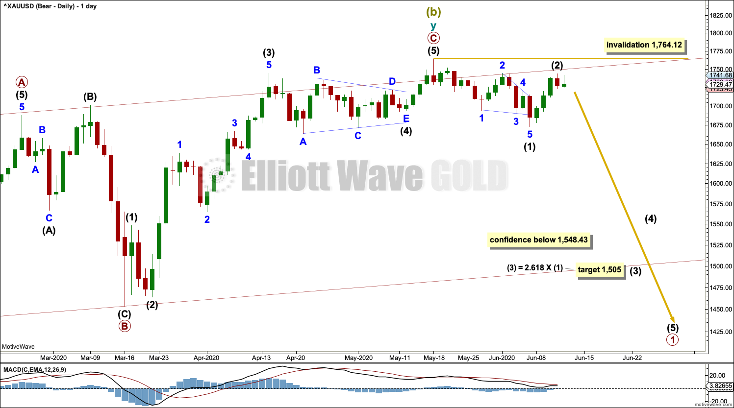 Gold Elliott Wave Chart Daily 2020
