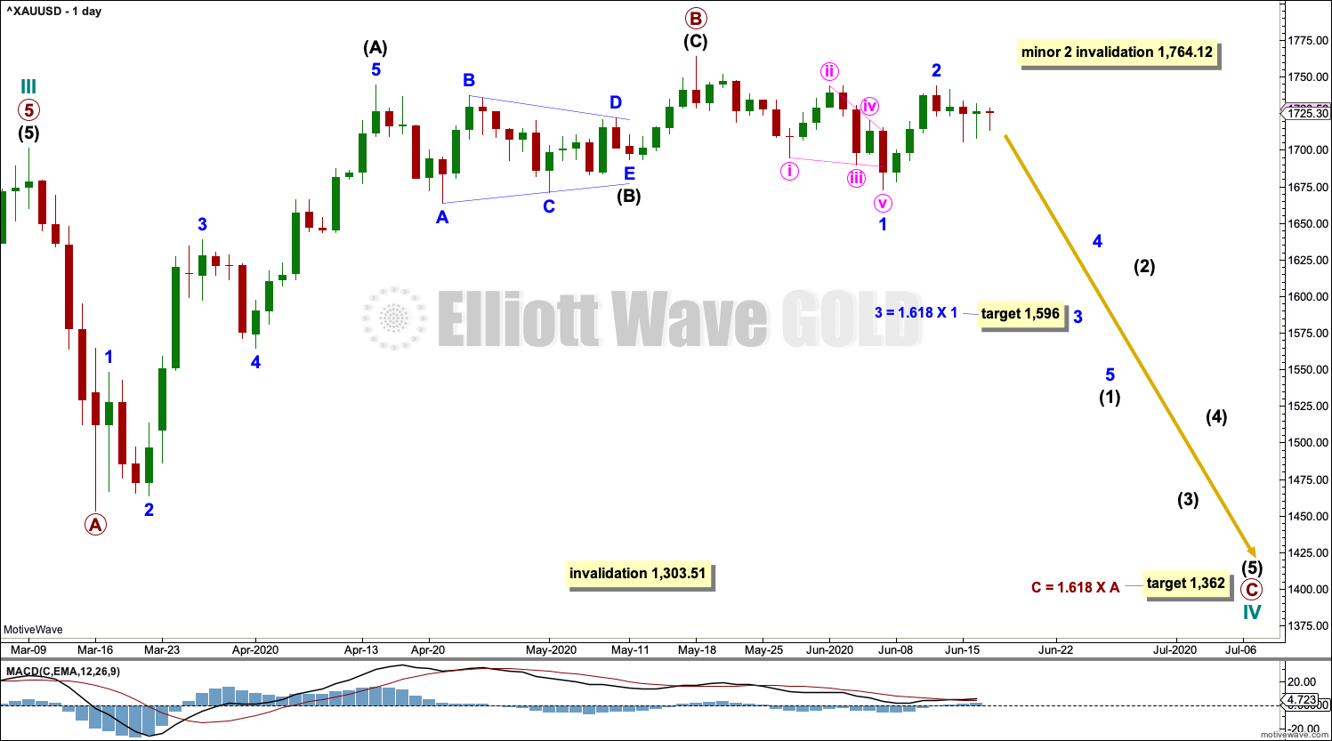 Gold Elliott Wave Chart Daily 2020