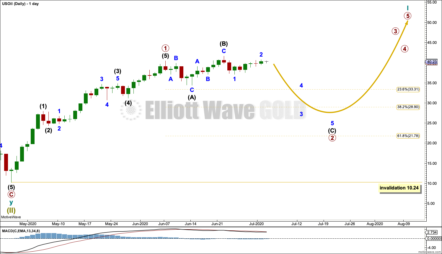 US Oil Elliott Wave Chart Daily 2019