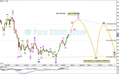 BTCUSD: Elliott Wave and Technical Analysis | Charts – August 11,  2021